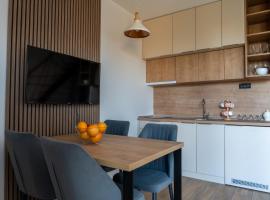 Apartman Nina，位于科帕奥尼克的酒店