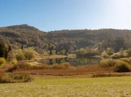 Chalet 6 à 8 pers au bord du lac