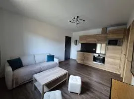 Appartement centre-ville