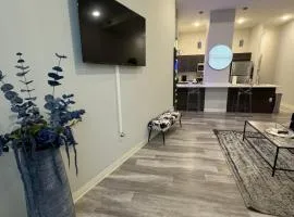 Beautiful Condo/Rooftop Patio With Free Parking