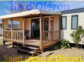 Paradis familial avec piscine a Saint Denis d'Oleron