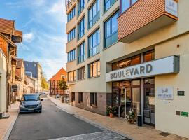 Boulevard Hotel Altstadt Schwerin，位于什未林的酒店