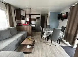 Le Paradis du Rhône - mobilhome moderne et confortable