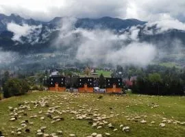 Salamandra SPA Sauny, Tężnia, panorama Tatr