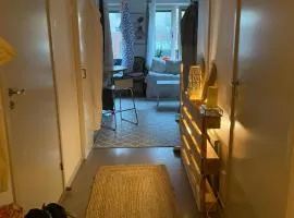 Central cozy accommodation, single room or bed in dormroom
