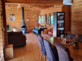 Our Log House in the woods