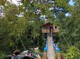 Casa del árbol Mirador Peñero