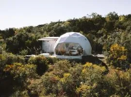 The Disco Domes
