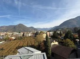 Vista Rosengarten