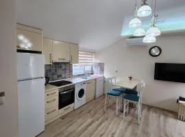 esa apartman 4