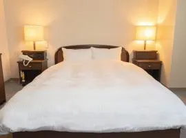 Hotel Alpha Inn Akita - Vacation STAY 67295v