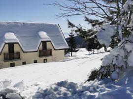 Casa Vrelo, Golija，位于Raška的酒店