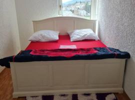 1 Beautiful Room in an 3-Bed-Room-Appart，位于格伦兴的酒店