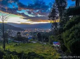 Buenavista