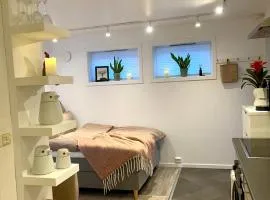 Cozy studio apartment at Tomasjord