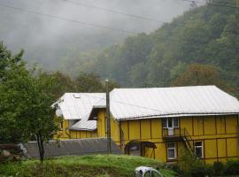 Дім з видом на гори.，位于Vizhenka的旅馆