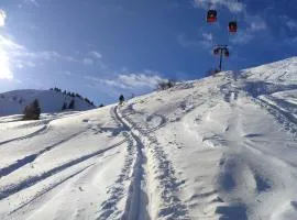 Ferienwohnung Pusteblume