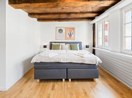 ARISER - Zug Old Town Suites，位于楚格的酒店