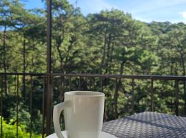 Casa Feliz Apartments Baguio，位于碧瑶的酒店