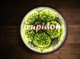 Pensiunea Cupidon，位于特尔古-塞奎斯的酒店