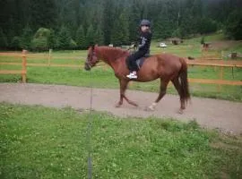 Casa din Curtea cu cai