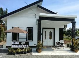 MiNi HoMeSTaY MuslIimOnly，位于万津的酒店