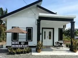 MiNi HoMeSTaY MuslIimOnly