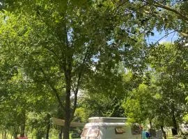 Camping Biologico La Buona Terra