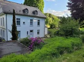 Ferienwohnung Landidyll, Whirlpool, Minipigs, Ponys, Familien