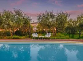 Podere Mencoini, stylish villa with private pool and olive garden