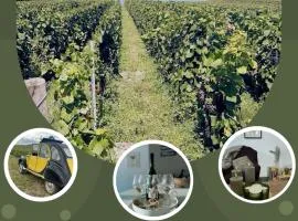 Gîte familial dans le vignoble champenois