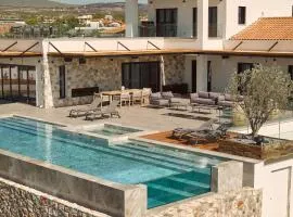 Kalonía Villa, a Quintessential Retreat, By ThinkVilla