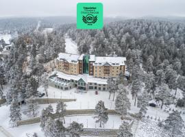 SARPİNO MOUNTAİN HOTEL，位于Sarıkamıs的度假村