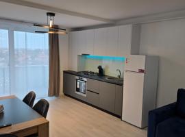 Apartament zona aeroport，位于Sînnicoară的酒店