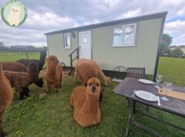 Cwtch Glamping Shepherds Huts，位于阿伯加文尼的酒店