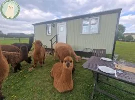 Cwtch Glamping Shepherds Huts