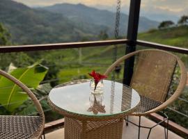 Cabañas Alondra，位于Vergara的酒店