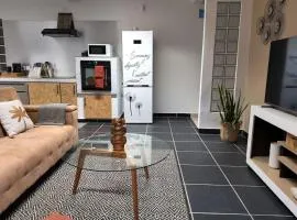 T3 meublé avec parking et jardin