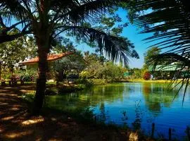 Tea Tree House in Chiang Mai