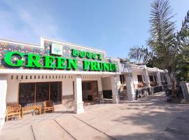 普伦迪绿色酒店，位于纳闽巴霍的酒店