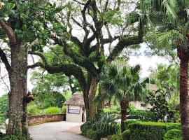 Magoebaskloof Mountain Lodge，位于察嫩的山林小屋