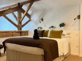 Castor Coquin Aubagne Cassis Aix en Provence
