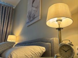 Jaukus apartamentas Birzu centre，位于比尔扎伊的酒店