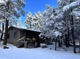 Peaceful Pine Place Cabin