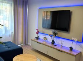 ALBERT RESIDENCE APARTHOTEL GRAND CHALET with free SPA Alpin Resort，位于布拉索夫的酒店