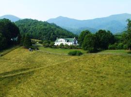 Asheville NC Private Country Estate，位于Leicester的酒店