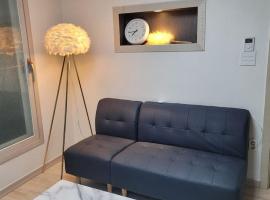 Incheon Sungeuidong happy stay for 10 pax，位于仁川市的酒店