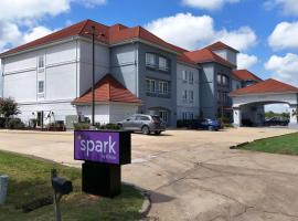 Spark by Hilton Brandon