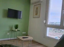 303 - Strasbourg appartement Green refait à neuf