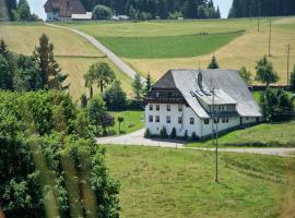 Gasthaus Pension Zum Löwen，位于格拉芬豪森的民宿